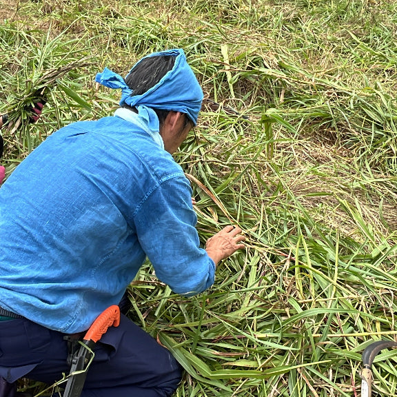 自然農体験(1日)